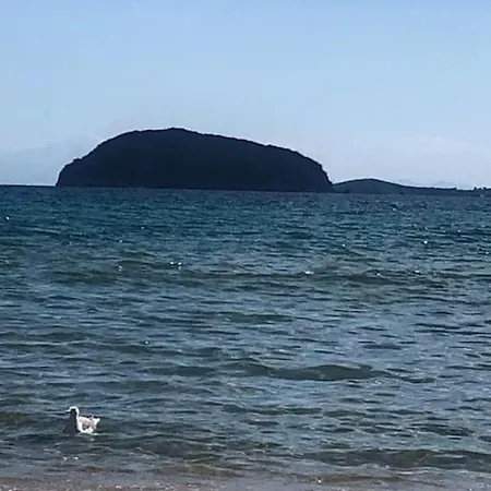 50m From Beach! Apartment